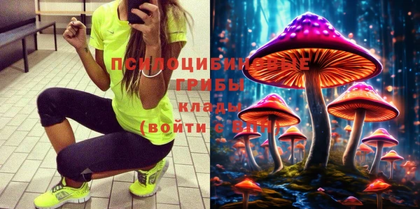 прущие крисы Покачи