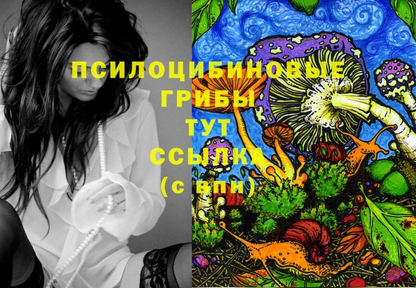 таблы Лиски