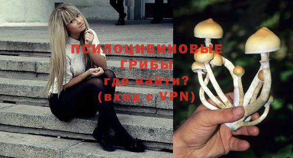 таблы Лиски