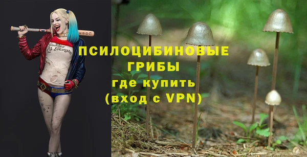 таблы Лиски
