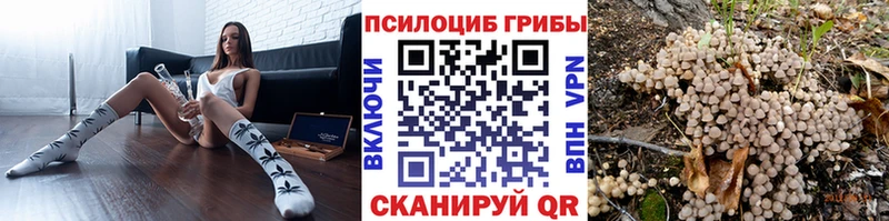 Галлюциногенные грибы Psilocybine cubensis Красково